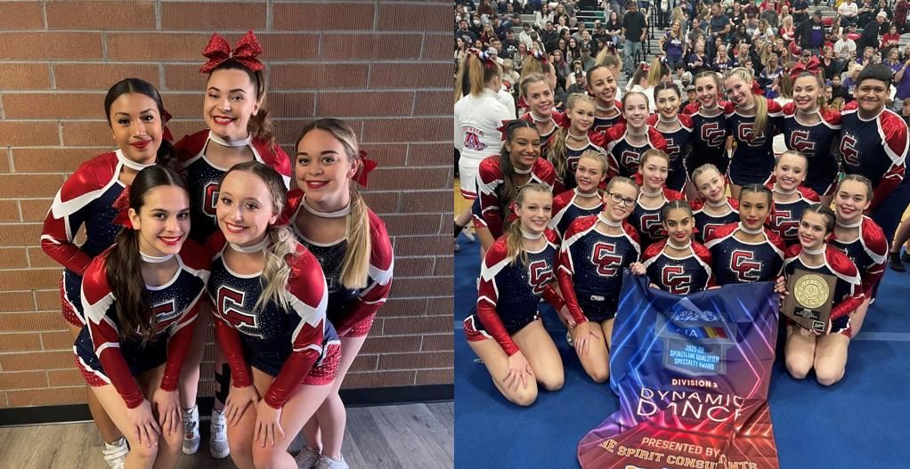 Centennial Coyotes Spiritline